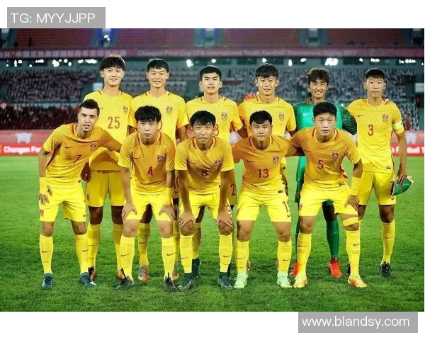 中国足球一线球星年薪揭秘 top球员收入差距巨大薪酬情况深度分析