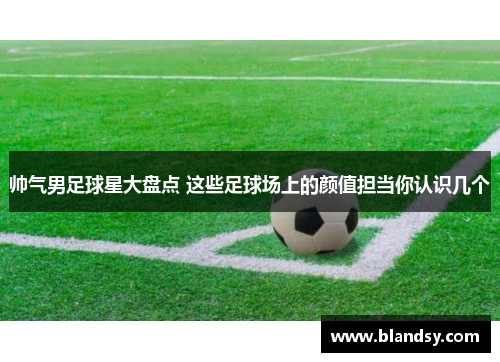 帅气男足球星大盘点 这些足球场上的颜值担当你认识几个