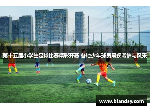 第十五届小学生足球比赛精彩开赛 各地少年球员展现激情与风采