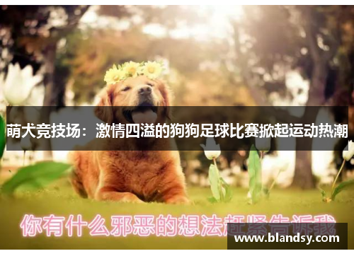 萌犬竞技场：激情四溢的狗狗足球比赛掀起运动热潮